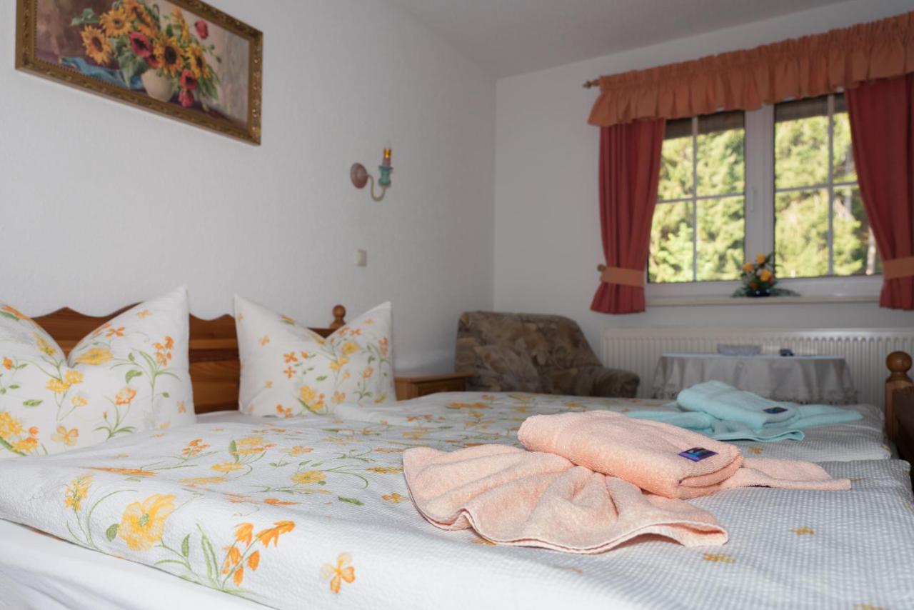 Waldhotel Dietrichsmuehle Crottendorf Ngoại thất bức ảnh