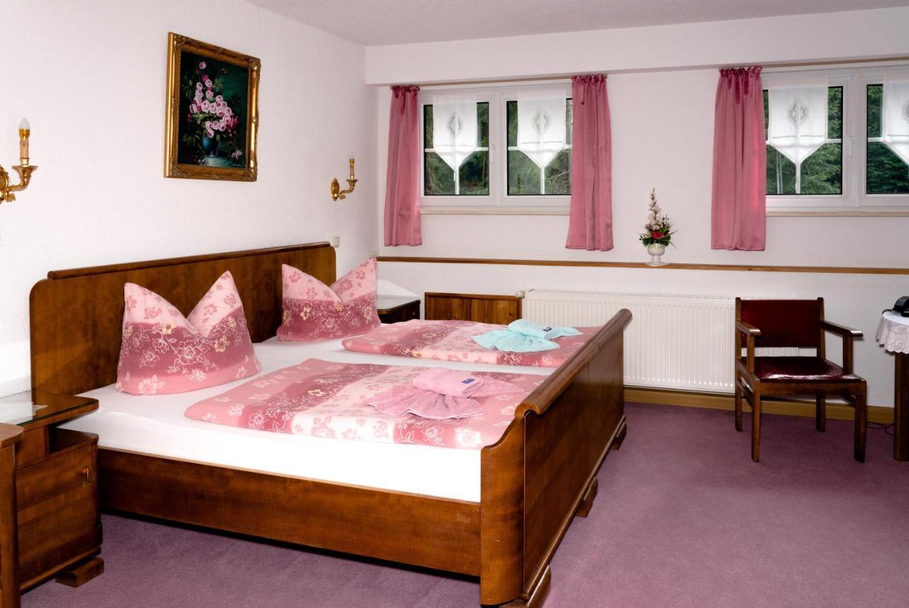 Waldhotel Dietrichsmuehle Crottendorf Ngoại thất bức ảnh
